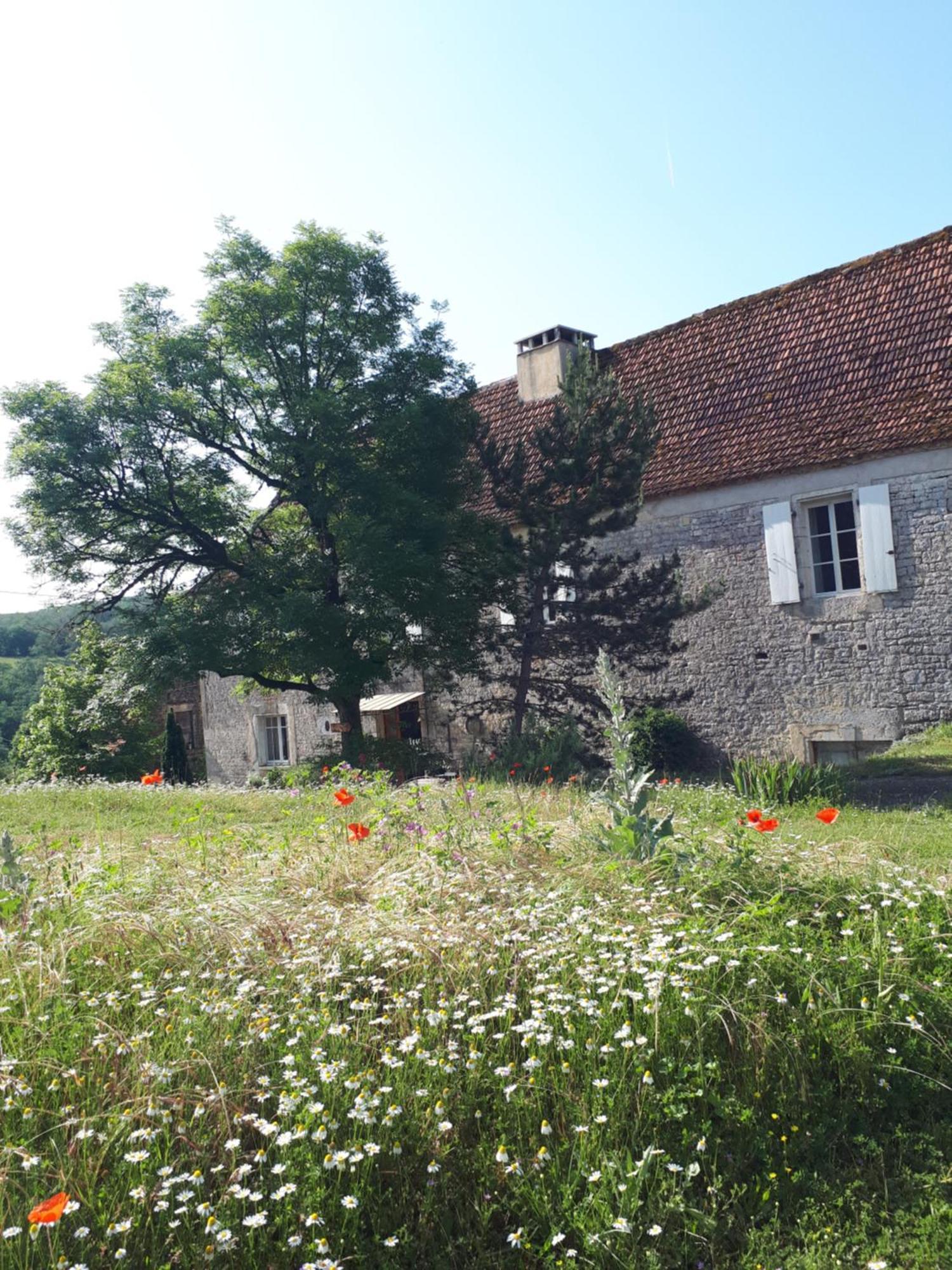 La Ferme De Roquedure Otel Montfaucon  Dış mekan fotoğraf